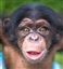 Daefaroth's avatar