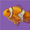 mtjester's avatar