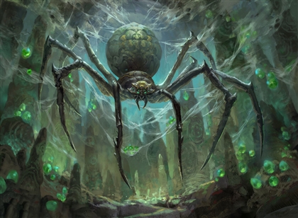 The Arachnid Image