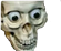 LeeroyJenkinsFANACCOUNT's avatar