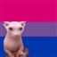 EdenEndmyLife's avatar