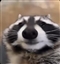 tommydhallam's avatar