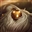 DinoclubDMAccount's avatar