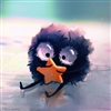 Kreehe's avatar