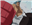 20relik's avatar