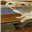 Kigges's avatar