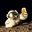 MrEvan312's avatar