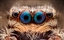 Spiderwrangler's avatar