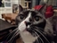 user-37167541's avatar