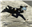Raven2018's avatar