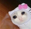SlinkyFaithTheSnake's avatar