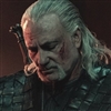 TheOldWitcher's avatar