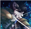 SilveriteWolf's avatar