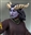 RavenBlitzborn's avatar