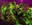 Aznip's avatar