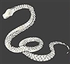 SweetFang2153's avatar