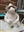 PhilGurnett's avatar