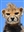 DukeWinston's avatar