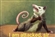 SnazzySpoonz's avatar