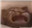 Rocky18's avatar