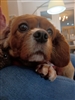 lord_lunitic's avatar