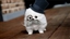 Tsetsegrl's avatar