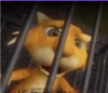 raspyraspberry's avatar