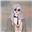 LightOfTheFae's avatar