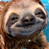 The_Slothmaster's avatar