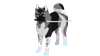 ElizabethTheFox's avatar