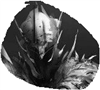 WuhaaWildsteele's avatar