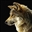 Red_Wolf_IV's avatar