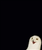Smoldak's avatar