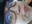 Rozahannah's avatar