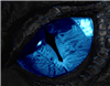 The_Dragon_925's avatar