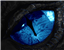 The_Dragon_925's avatar