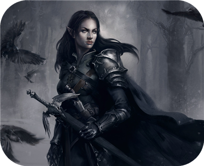 Crow Knight Image