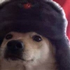 wisscal's avatar