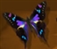 Sorchafyre's avatar