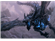 ninjapaladin654321's avatar