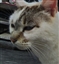 YeOldeDraco's avatar