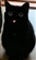 Arran_Flay's avatar