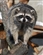 SkyrimGuard's avatar