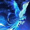 dim_light's avatar
