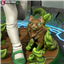AsharaSW420's avatar