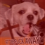 Bob_The_Bird's avatar