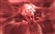 TheDinkster_'s avatar