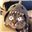 Fynid's avatar