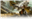 LordOfRealms's avatar