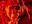 Dragonwarriorchs's avatar